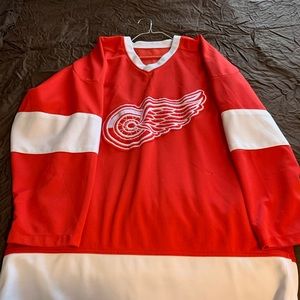 Detroit Red Wings Hockey Blank Jersey